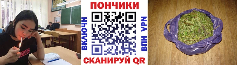 Шишки марихуана конопля  где купить   Лаишево 